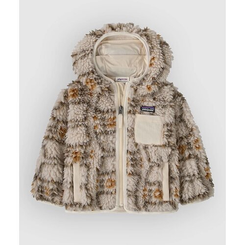 Patagonia snowshoe hare / natural Slike