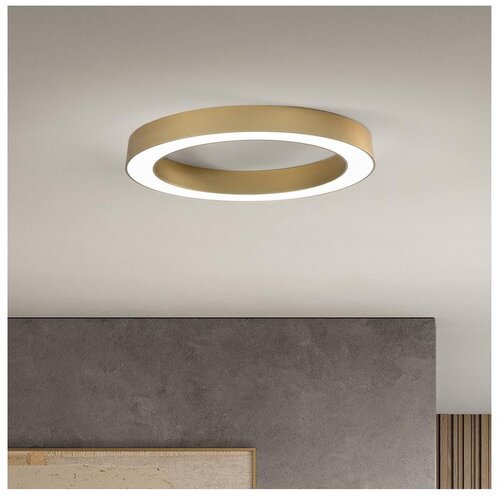  Ondaluce - LED prigu&scaron;iva plafonska svetiljka GLOBUS LED/40W/230V prečnika 60 cm zlatna Cene