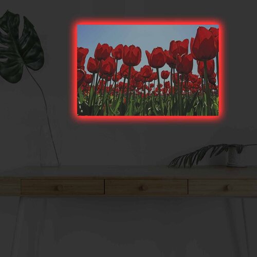 Wallity Slika sa LED osvetljenjem 4570DHDACT-036, 45x70 cm Cene