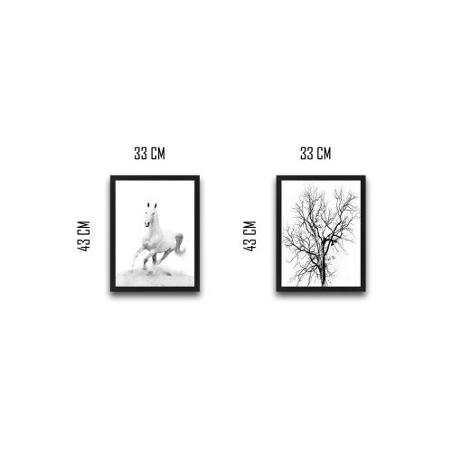 Wallity slika white horse, 2 dela, 30 x 40cm Cene
