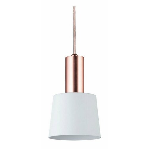 PAULMANN 79656 - 1xE14/20W Luster na sajli NEORDIC HALDAR 230V Slike
