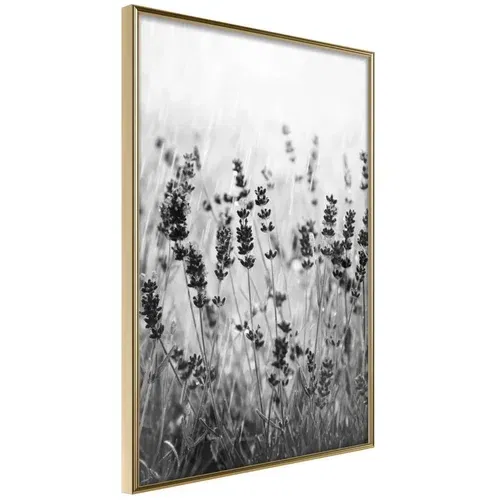  Poster - Shadow of Meadow 30x45