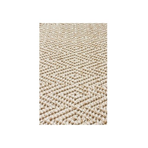 Conceptum Hypnose tepih 80x150cm bež Slike