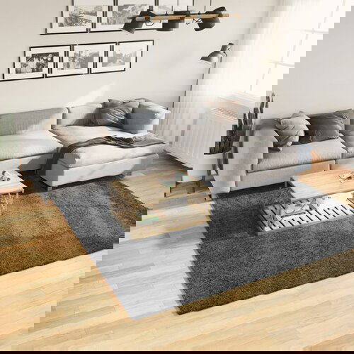 vidaXL Tepih OVIEDO kratkih vlakana antracit 240 x 240 cm Cijene