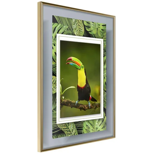  Poster - Toucan in the Frame 30x45