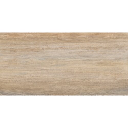 x zidna pločica oak (62 31 cm, bež boje, materijal: keramika) Cijene
