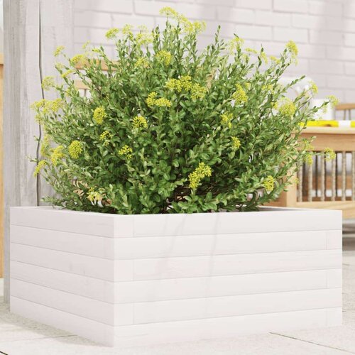  Vrtna sadilica bijela 50 x 50 x 23 cm od masivne borovine Cijene