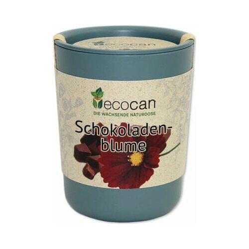 Feel Green ecocan "Čokoladni cvet" Cene
