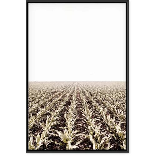  Slika - Corn Field (1 Part) Vertical 60x90 U crnom drvenom okviru Cijene
