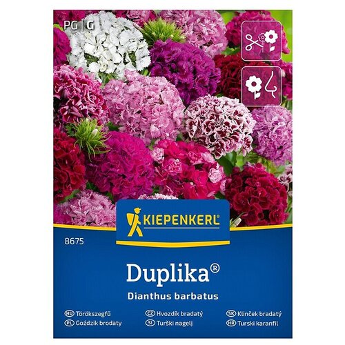 KIEPENKERL Me&scaron;ana cvetlična semena Tur&scaron;ki nagelj Duplika (Dianthus barbatus, Večbarvna) Cene