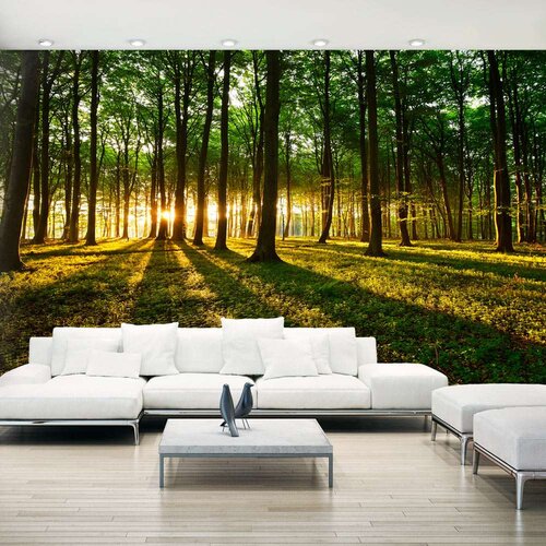  Tapeta XXL - Mystical Morning II 500x280 Cijene