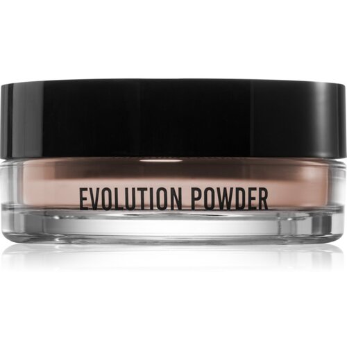 Danessa Myricks Beauty Evolution Powder transparentni puder v prahu odtenek #2 11 g Cene