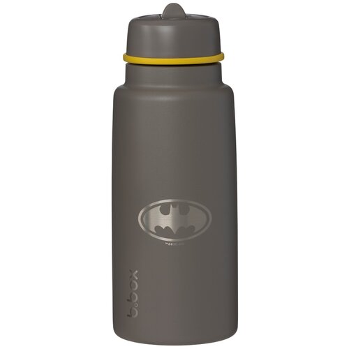 b.box termo steklenička Flip Top 1 l blue, purple Cene
