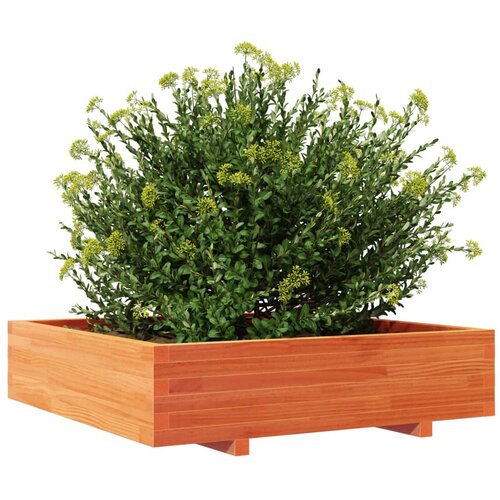 Vrtna sadilica vo&amp;scaron;tano smeđa 100x100x26,5 cm masivna borovina Slike