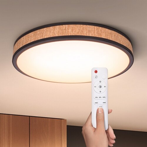  Brilagi - LED prigu&amp;scaron;iva stropna svetiljka ROSA LED/48W/230V 3000-6500K + DO Slike