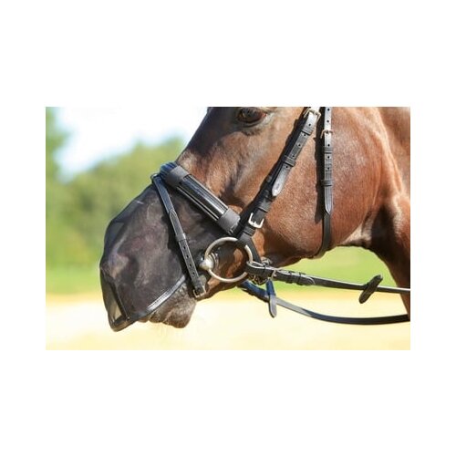 Busse &amp;Scaron;čitnik za nos FLY PROTECTOR - Velik poni / Cob Slike