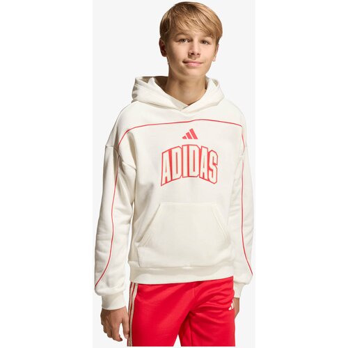 Adidas Dukserica Stadium Lettering Slike
