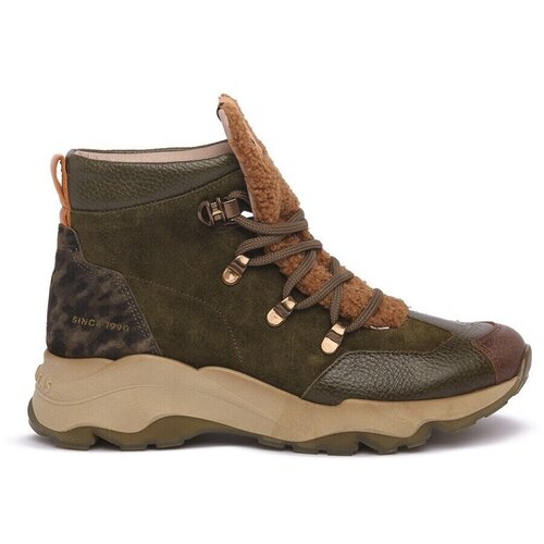 Hispanitas Poslovni čevlji CHI254323 pisana Cene