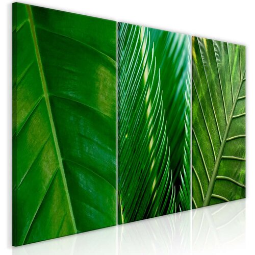  Slika - Leaves (Collection) 120x60 Slike