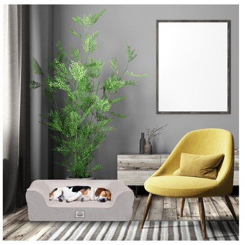 WALLXPERT krevet za kućne ljubimce sezar Slike