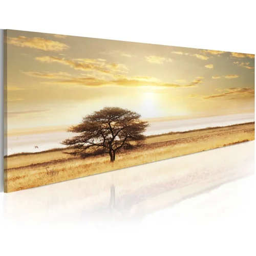  Slika - Lonely tree on savannah 120x40