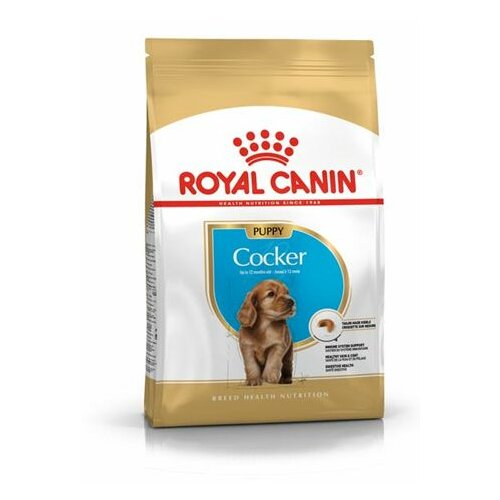 Royal Canin hrana za štence cocker junior 3kg Slike