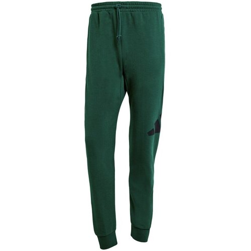 Adidas Lahkotne hlače &amp;amp; Harem hlače Essentials Big Logo French Terry Zelena Slike