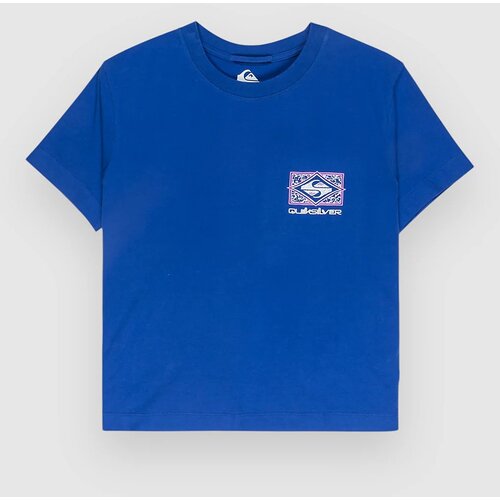 Quiksilver Standard T-shirt surf the web Slike