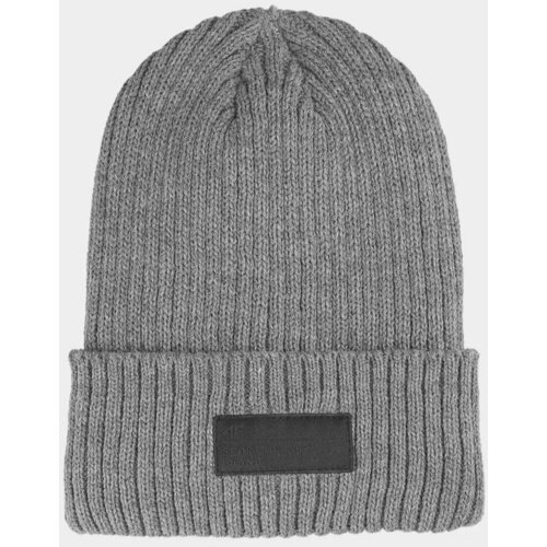 Kesi Men's Insulated Winter Hat 4F Grey Slike