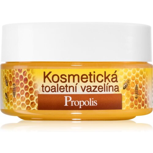 Bione Cosmetics Honey + Q10 kozmetički vazelin 155 ml Cijene
