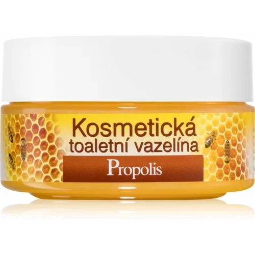 Bione Cosmetics Honey + Q10 kozmetični vazelin 155 ml