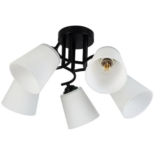  plafonski luster pafos 5xE27/15W/230V crna Cene