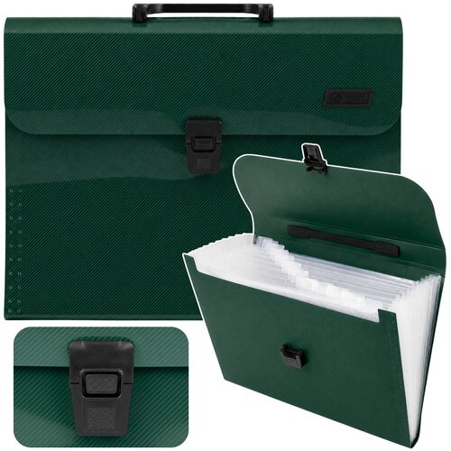  Folder Organizer for Documents, 13 Compartments, Green, A4, Holder Cijene
