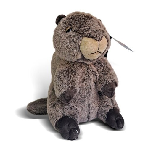  Plišani mrmot 25cm ( 1039165 ) Cene
