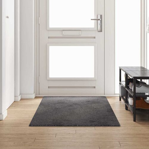  Tepih trkač Siva 100 x 250 cm 100% Polipropilen Tuft Cijene