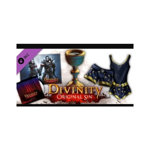 Steam Divinity: Original Sin - Source Hunter (DLC) (PC) Key GLOBAL Cene