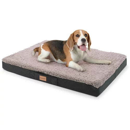 brunolie Balu, pasja postelja, blazina za psa, pralna, ortopedska, protizdrsna, zračna spominska pena, velikost M (79 × 8 × 60 cm)