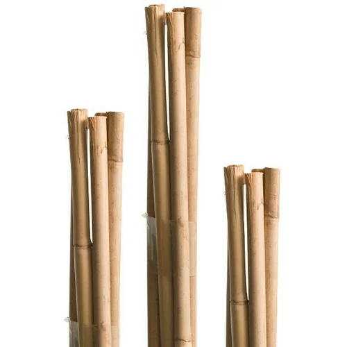 Windhager Bambus štapovi (Ø x V: 0,6 x 60 cm, Smeđe boje, 10 Kom.)