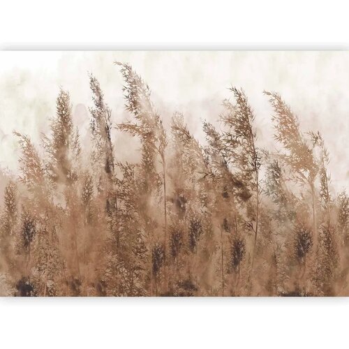  Foto tapeta - Tall Grasses - Brown 100x70 Cijene