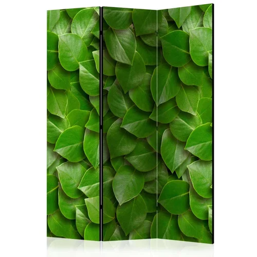  Paravan u 3 dijela - Secret Garden [Room Dividers] 135x172