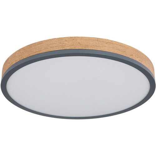 Novel stropna led-svetilka 45/8,5 cm Cene