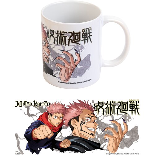 Grupo &Scaron;alica Jujutsu Kaisen Yuji and Sukuna, 350 ml Cijene