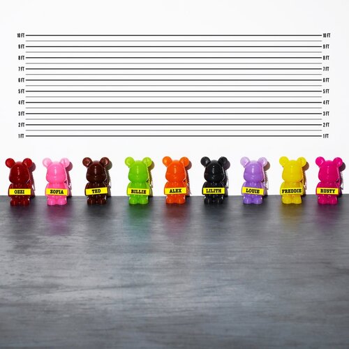 Trouble Maker Feral Teddy Mystery Plumping Lip Gloss sijaj za ustnice z učinkom povečanja 1.1 ml Slike