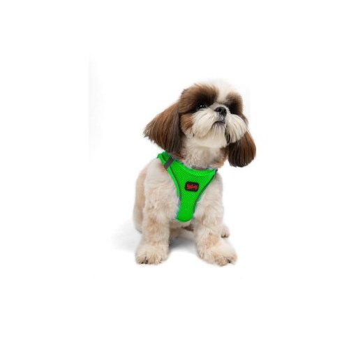 Paws &amp;amp; Whiskers am za pse air-mesh, zeleni Slike