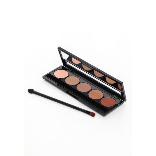 Pierre Cardin Paris Cosmetics pierre cardiniconic paleta senki za oči me nude Cene