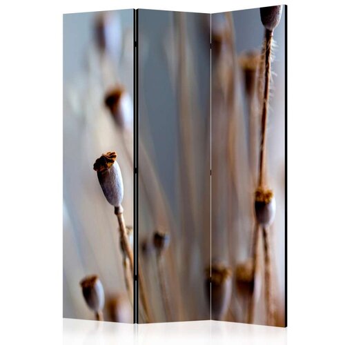  Paravan u 3 dijela - Poppy heads [Room Dividers] 135x172 Slike