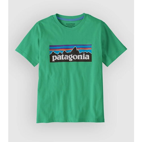 Patagonia P-6 Logo Kids T-shirt aqua stone Cene