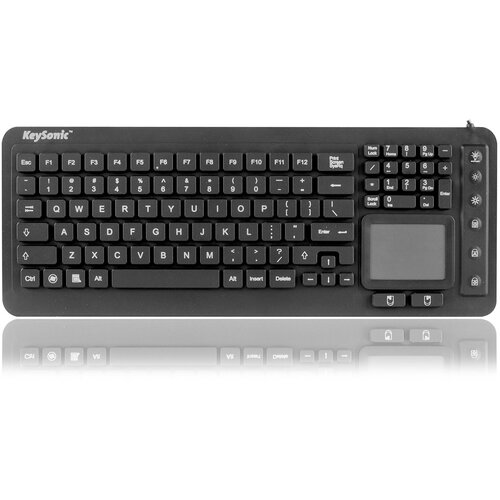 Raidsonic KeySonic KSK-6231 INEL (US) keyboard Industrial USB QWERTY US English Black Cijene