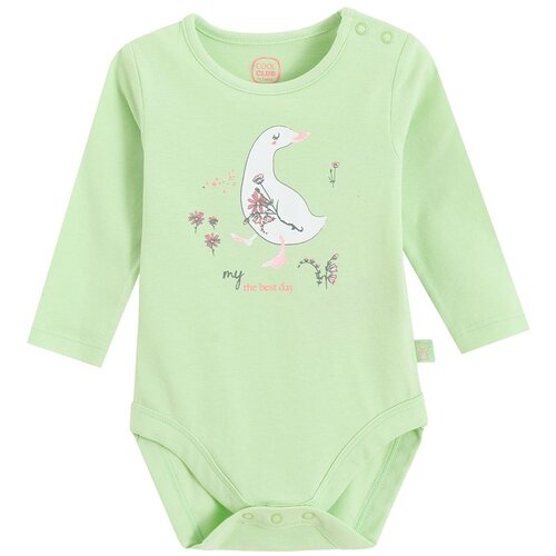 Cool club bodi DR CCG2801153 Ž zelena 98 Cijene