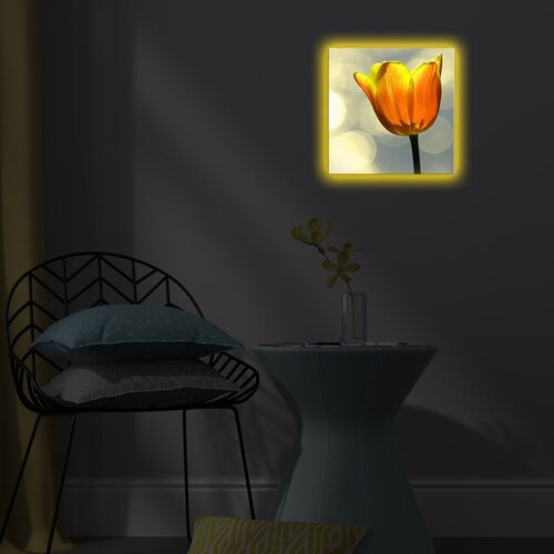 Wallity Slika sa LED osvetljenjem 2828DACT-55, 28x28 cm Cene